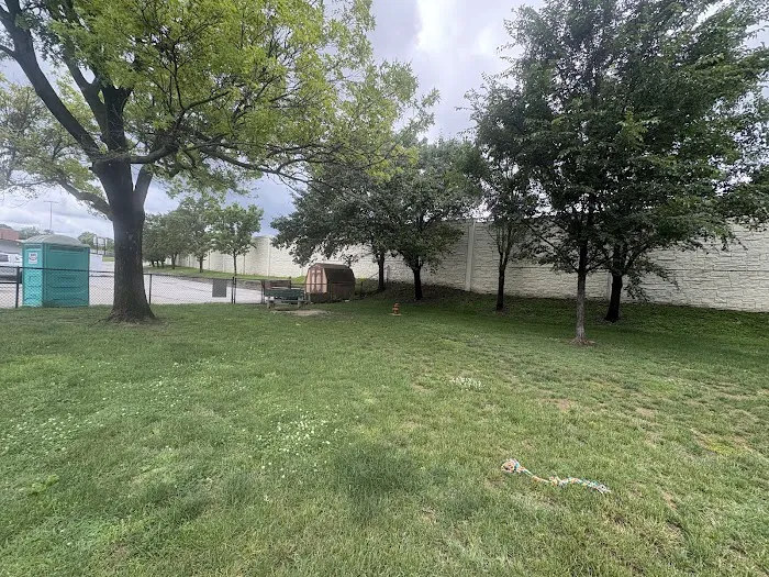 Lower Ross Dog Park 1