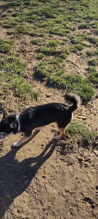 Oakley Station Dog Park 1