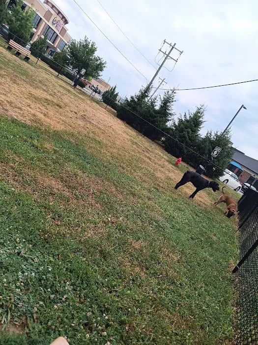 Oakley Station Dog Park 4