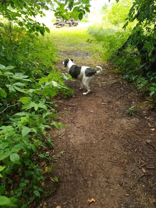Tom Harvey Memorial Dog Park 2