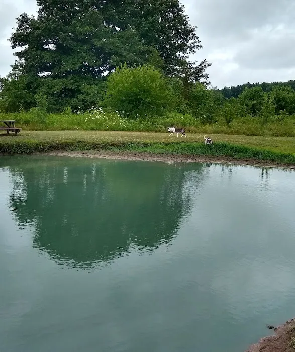 Tom Harvey Memorial Dog Park 7