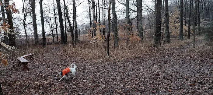 Tom Harvey Memorial Dog Park 5