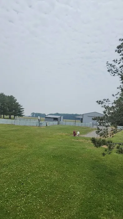 Tom Harvey Memorial Dog Park 4