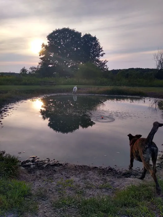 Tom Harvey Memorial Dog Park 9