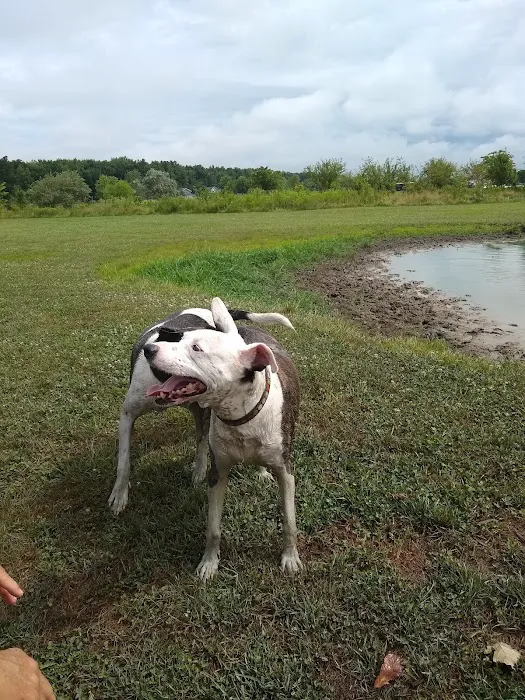 Tom Harvey Memorial Dog Park 1