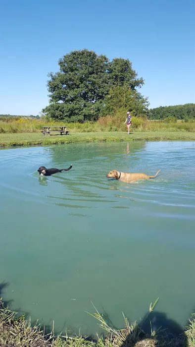 Tom Harvey Memorial Dog Park 6