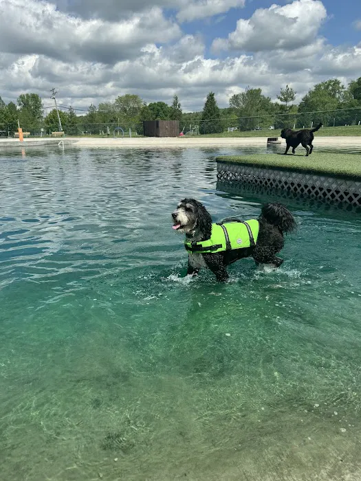 RJ Wags Park 4