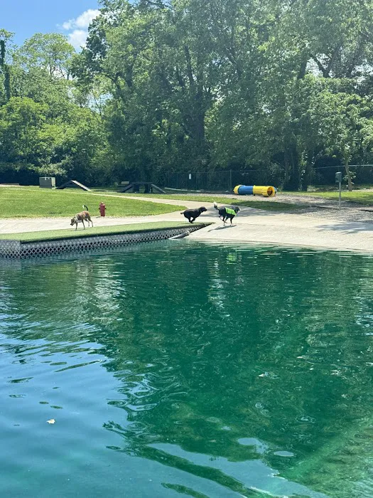 RJ Wags Park 3
