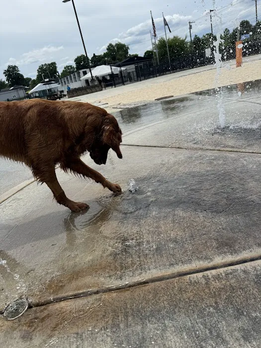 RJ Wags Park 1