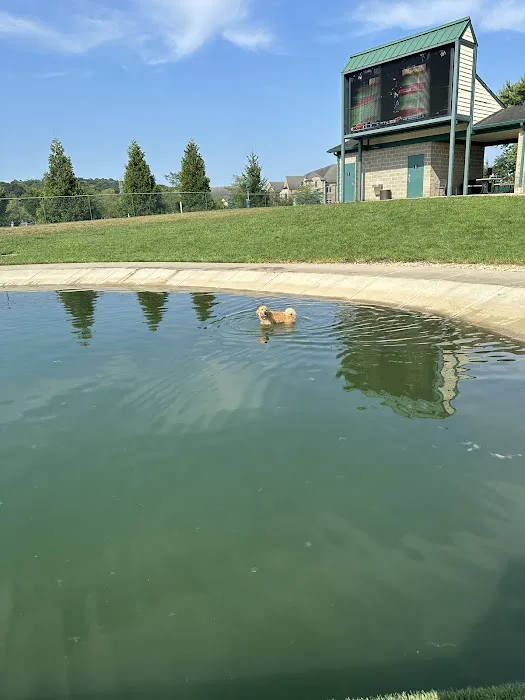 RJ Wags Park 8