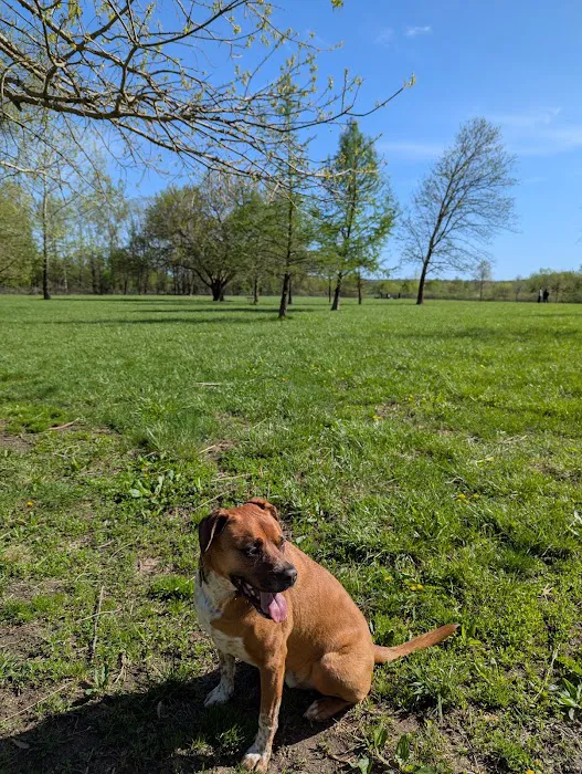 Otto Armleder Dog Park 4