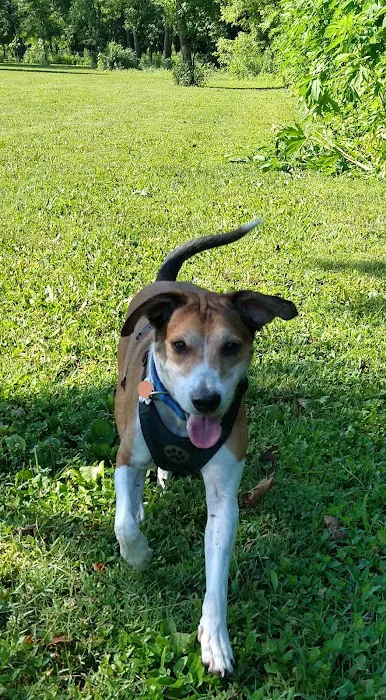 Otto Armleder Dog Park 9