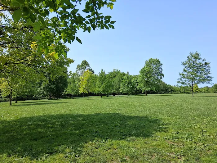Otto Armleder Dog Park 5