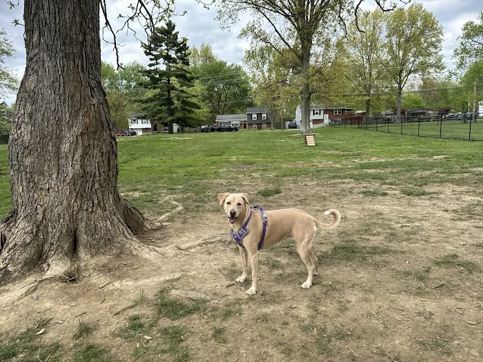 Clepper Dog Park 6