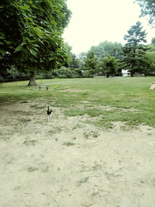 Clepper Dog Park 8