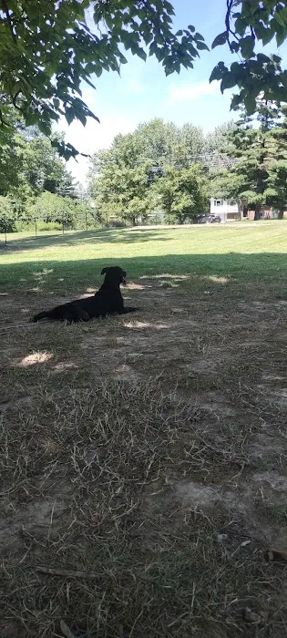 Clepper Dog Park 4