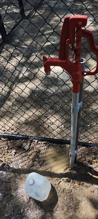 Clepper Dog Park 7