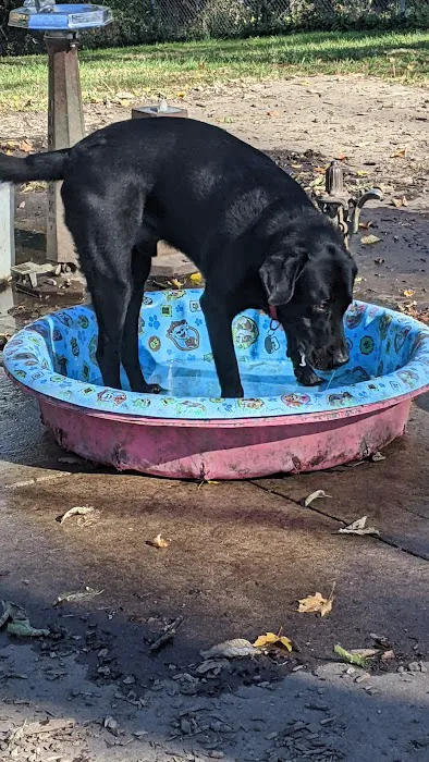 Mt. Airy Dog Park 5