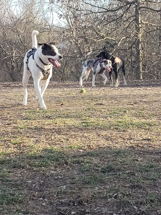 Mt. Airy Dog Park 2
