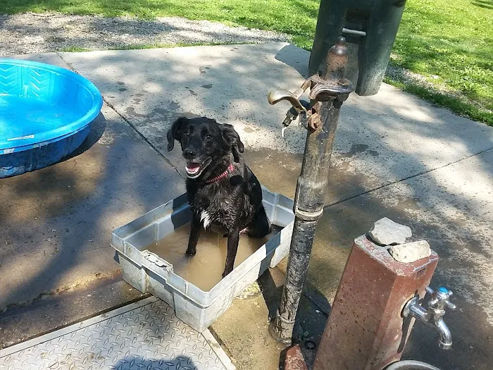 Mt. Airy Dog Park 6