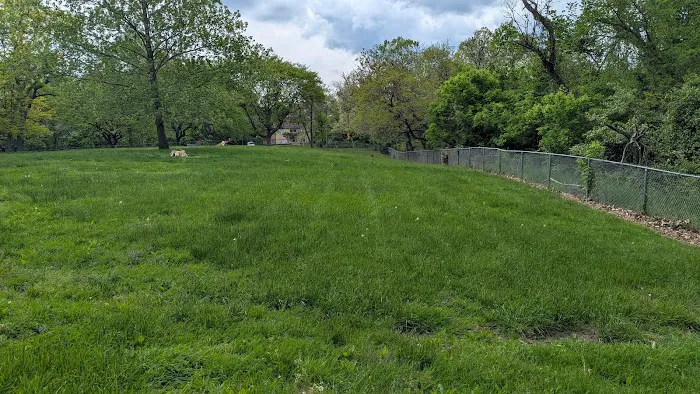 Mt. Airy Dog Park 8