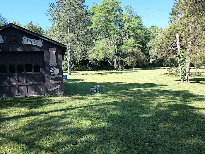 Hueston Woods Dog Park 3