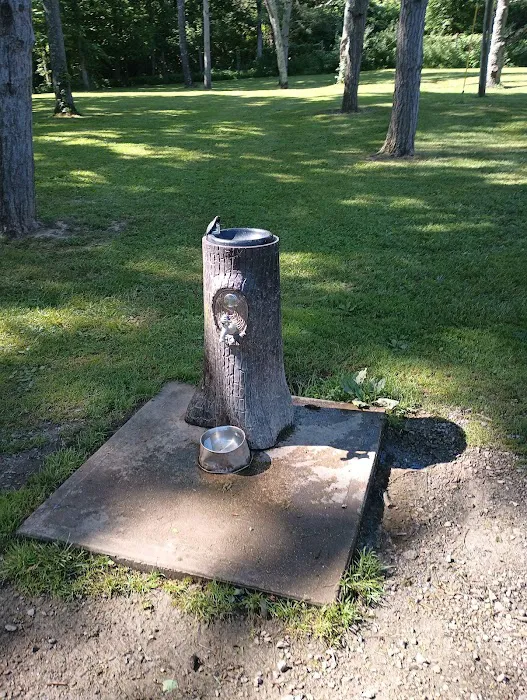 Hueston Woods Dog Park 2