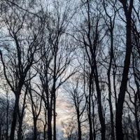 Hueston Woods Dog Beach ico