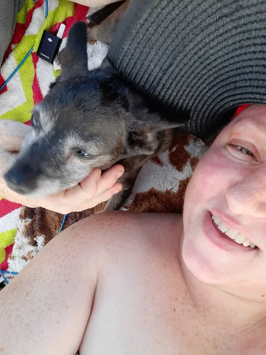 Hueston Woods Dog Beach 6