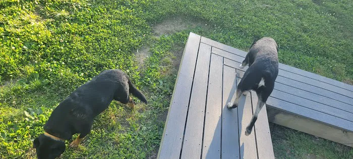 Northside Bark Dog Park 1