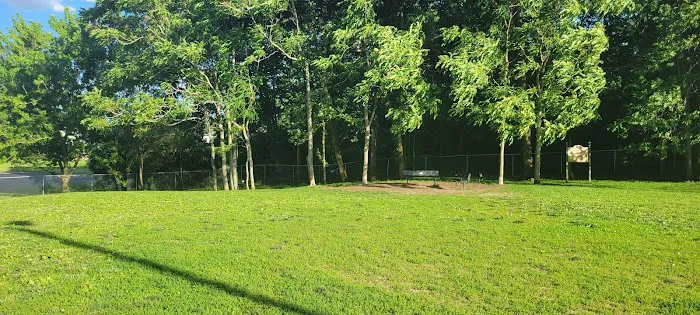 Northside Bark Dog Park 3