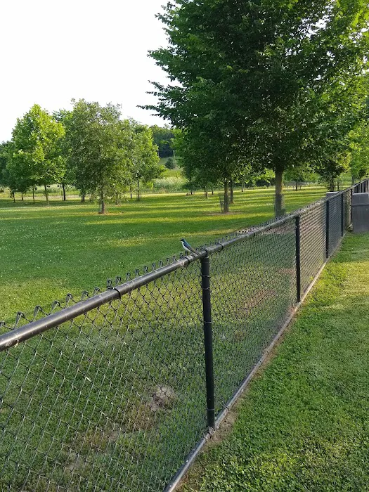 Simmonds Family Dog Park 9