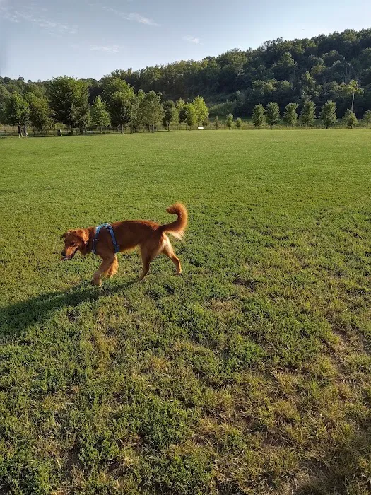 Simmonds Family Dog Park 7