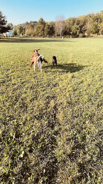 Simmonds Family Dog Park 4