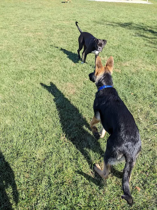 Simmonds Family Dog Park 10