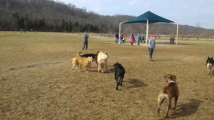 Simmonds Family Dog Park 5
