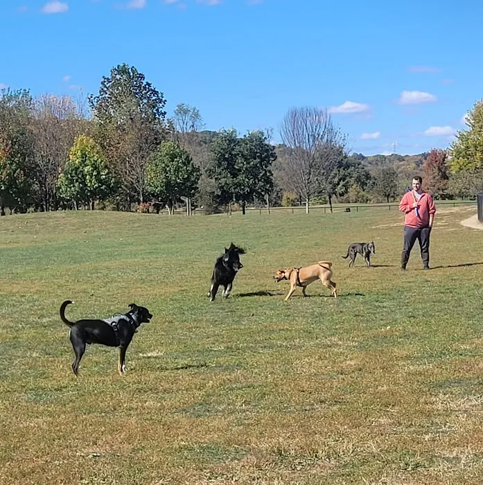 Simmonds Family Dog Park 3