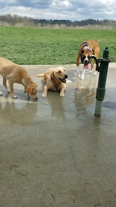 Simmonds Family Dog Park 8