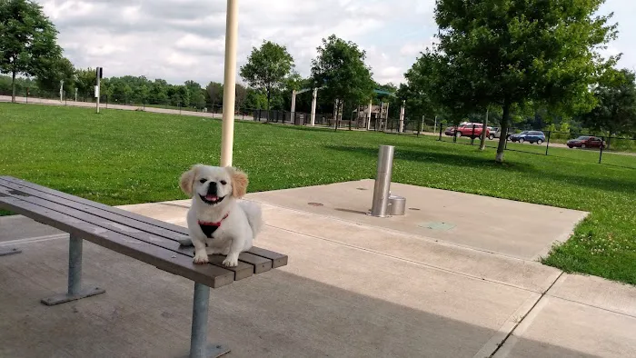 Simmonds Family Dog Park 6