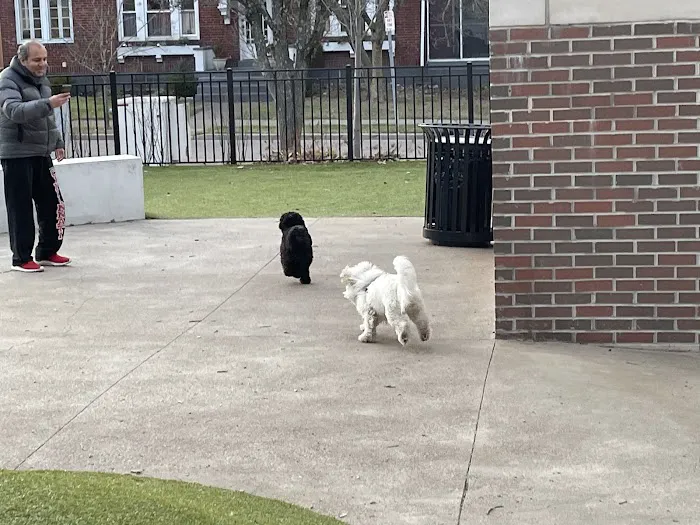 Westwood Dog Park 10