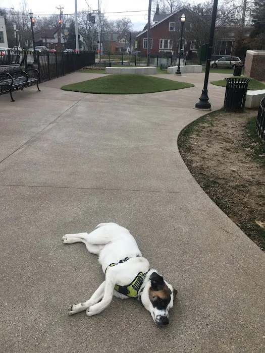 Westwood Dog Park 7