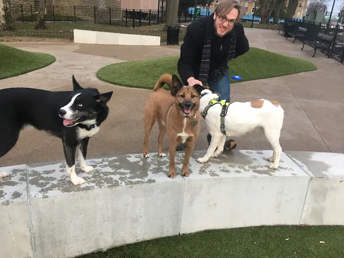 Westwood Dog Park 3