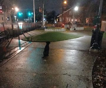 Westwood Dog Park