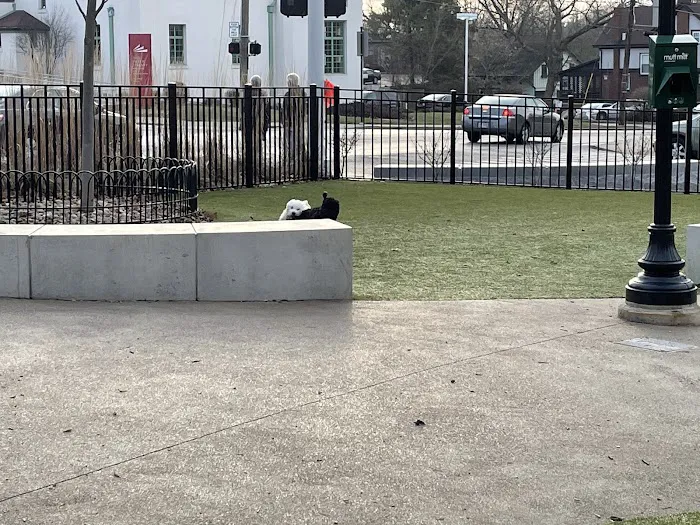 Westwood Dog Park 6