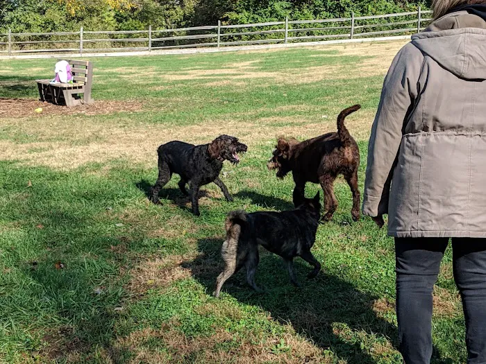Harrison Dog Park 5