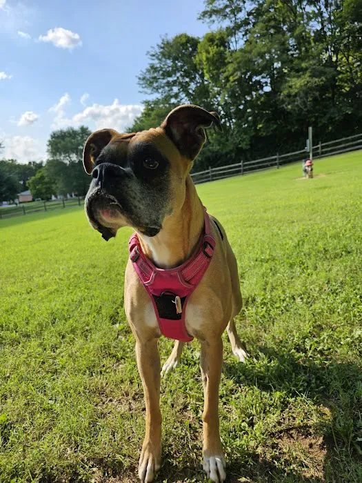 Harrison Dog Park 1