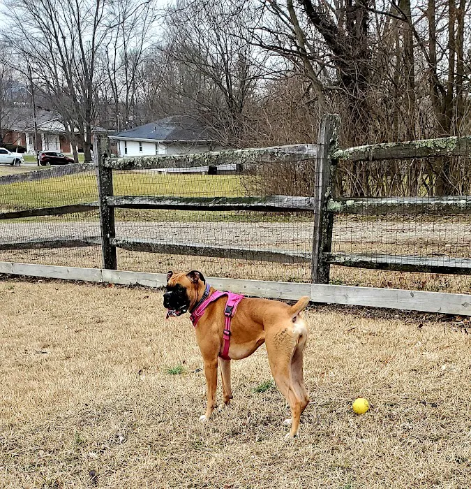 Harrison Dog Park 10