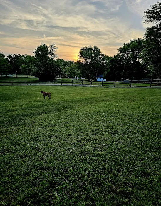 Harrison Dog Park 9