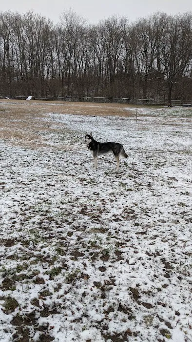 Harrison Dog Park 6
