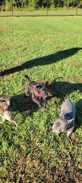 David J Stricker Dog Park 10
